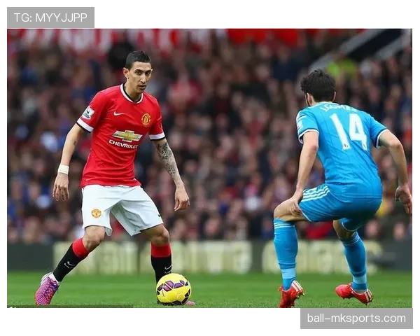 迪马利亚技术全面性解析